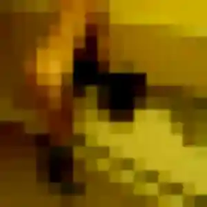 Photo de Emilie à Torcé-Viviers-en-Charnie (24 ans) - plan cul anonyme