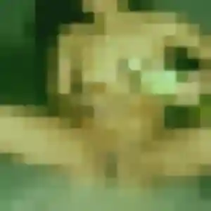 Photo exclusive de Leana, 24 ans à Toulon - rencontre sans lendemain