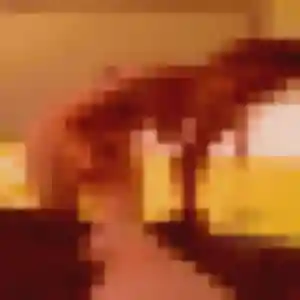 Amandine, 31 ans, cherche un plan cul à Toulouse