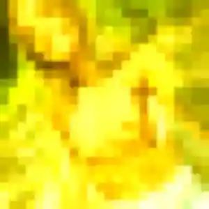 Photo de Luna à Tourcoing (24 ans) - plan cul discret