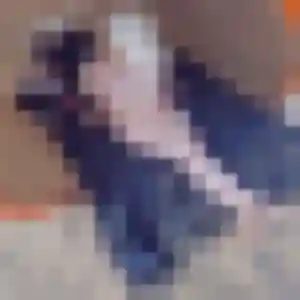 Charmante Maeva, 32 ans à Trévières - voir sa photo
