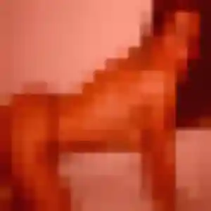 Découvre Amandine, 32 ans à Tuchan en privé