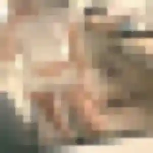Profil de Celia à Tullins (22 ans) - plan cul anonyme