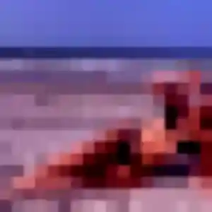 Soraya, 23 ans, connectée à Urzy pour une rencontre coquine