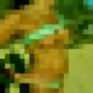 Zoe, 35 ans, disponible à Vabre pour une rencontre coquine