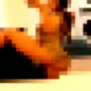 Eden, 23 ans, dispo pour plan cul à Val-de-Reuil