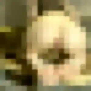 Lucie, 30 ans, cherche un plan cul à Varanges