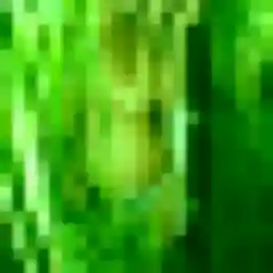 Celia, 27 ans, disponible à Varengeville-sur-Mer pour une rencontre coquine