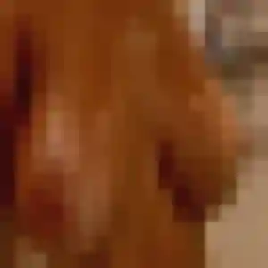 Photo perso de Melanie, 24 ans à Varenne-Saint-Germain - rencontre coquine