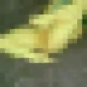 Photo privée de Justine, 31 ans à Varennes-sur-Seine - rencontre coquine
