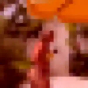 Photo exclusive de Armelle, 22 ans à Varrains - rencontre coquine