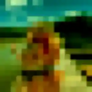 Découvre Elia, 24 ans à Vautorte en t'inscrivant