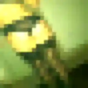 Eden, 32 ans, dispo pour plan cul à Vauvert