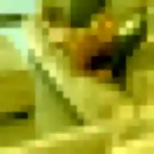 Rejoins Elodie, 30 ans à Vendenesse-lès-Charolles en t'inscrivant