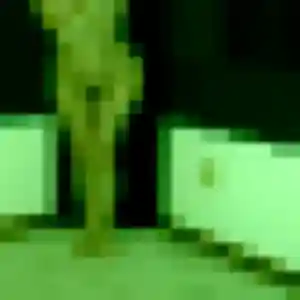 Photo de Elena à Vendrennes (22 ans) - plan cul gratuit