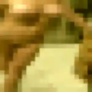 Photo privée de Olivia, 25 ans à Venerque - rencontre sans lendemain