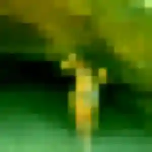 Tessa, femme de 21 ans veut plan cul à Ver-sur-Mer