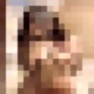 Photo de Romane à Verfeuil (19 ans) - plan cul sans inscription