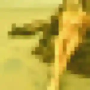 Olivia, 30 ans, dispo pour plan cul à Vernéville