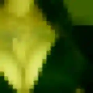 Rejoins Eva, 19 ans à Vernon en privé