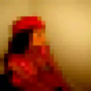 Photo sexy de Elisa, 20 ans à Verrières-en-Forez - rencontre coquine