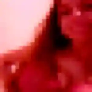 Photo exclusive de Clara, 26 ans à Vesly - plan discret