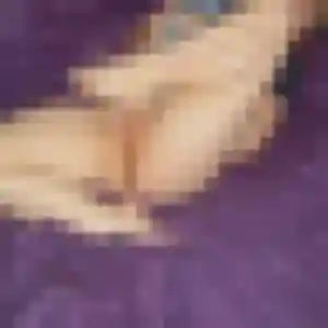 Photo de Leila à Vézénobres (34 ans) - plan cul discret