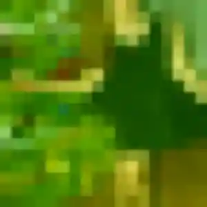 Rencontre Yasmine, 19 ans à Vieille-Toulouse en t'inscrivant