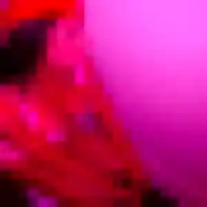 Photo privée de Hana, 32 ans à Vieux-Mesnil - rencontre coquine