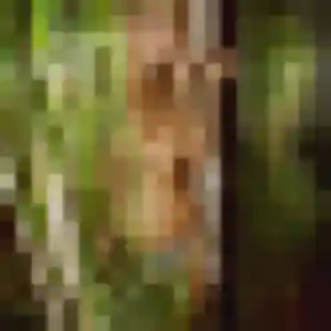 Celia, 23 ans, veut un plan cul à Vieux-Vy-sur-Couesnon