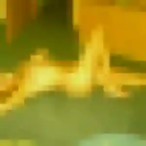 Heloise, 24 ans, connectée à Vignacourt pour une rencontre coquine