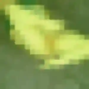 Heloise (19 ans) à Vignieu propose un plan cul ce soir