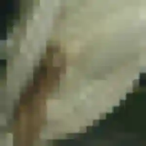 Camille, femme de 30 ans cherche plan cul à Village-Neuf