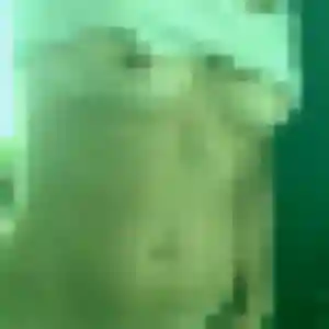 Lea, 26 ans, dispo pour plan cul à Ville-en-Sallaz