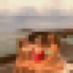 Photo de Elina à Villebougis (19 ans) - plan cul anonyme