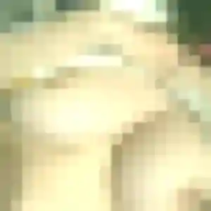 Contacte Assia, 31 ans à Villedieu-sur-Indre en privé
