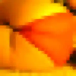 Photo de Hana à Villeneuve-en-Retz (31 ans) - plan cul anonyme