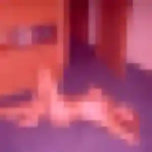 Photo sexy de Leila, 27 ans à Villeneuve-lès-Maguelone - rencontre sans lendemain