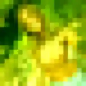 Photo exclusive de Luna, 35 ans à Villeneuve-Saint-Denis - rencontre coquine