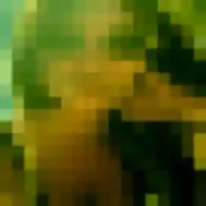 Photo de Fanny à Villers-au-Tertre (23 ans) - plan cul gratuit