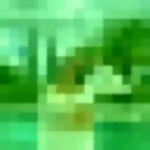 Mona, 20 ans, en ligne à Villers-Pol pour une rencontre coquine