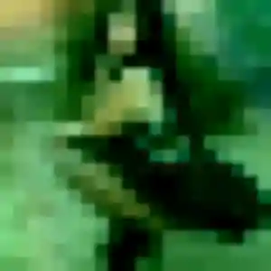 Photo de Naila à Villers-Sire-Nicole (19 ans) - plan cul gratuit