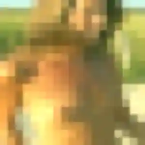 Emma de Villeurbanne, 31 ans - plan cul sans prise de tête