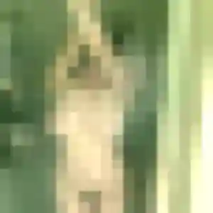 Charmante Zara, 21 ans à Villiers-sous-Grez - voir sa photo