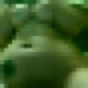 Jolie Mahaut, 26 ans à Vins-sur-Caramy - la contacter