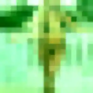 Jade, 34 ans, disponible à Vitré pour un plan cul