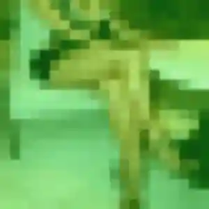 Ines (29 ans) à Wavrechain-sous-Denain propose une rencontre aujourd'hui