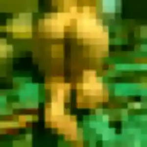 Marion, femme de 23 ans propose plan cul à Willgottheim