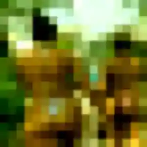 Sexy Mahaut, 19 ans à Yvetot-Bocage - découvrir son profil