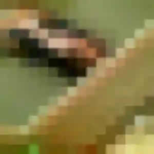 Manel, 30 ans, en ligne à Zillisheim pour une rencontre coquine